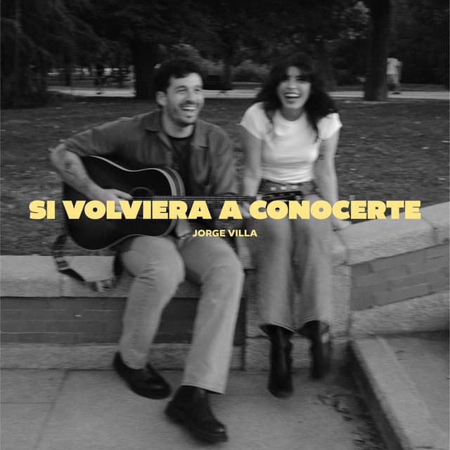 Si volviera a conocerte cover